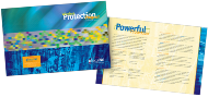 CE2 Studios Brochure 12